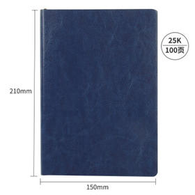 天章 （TANGO）高档25K商务皮面本笔记记事本经典办公日记会议记录本 肤感软面  100页 支持定制