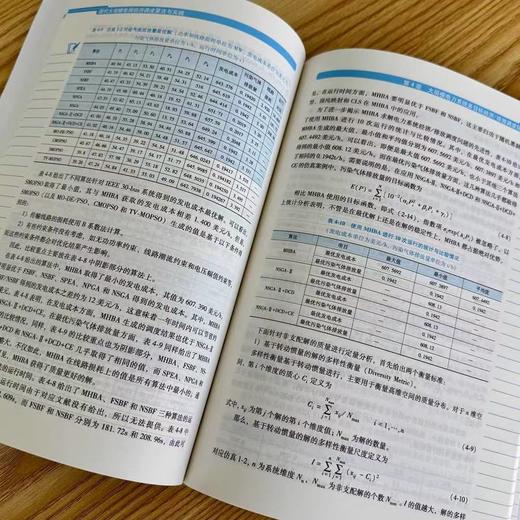 现代大规模电网经济调度算法与实践 商品图4