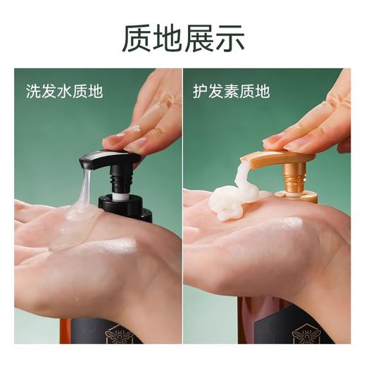 爱敬科娜洗丝韩国进口蜂胶洗发水护发素控油柔顺清爽去屑洗头膏 500ml/瓶 商品图3