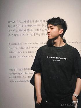 山大王 2025新款满天星做旧徽标短袖T恤 Z-15399