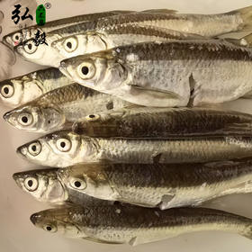 【弘毅六不用生态农场】小白鱼3斤/份