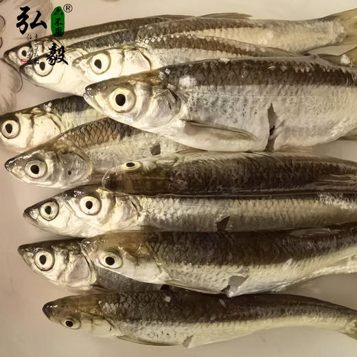 【弘毅六不用生态农场】小白鱼3斤/份 商品图0