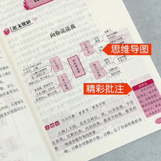 中学生优秀作文1000篇 商品图3