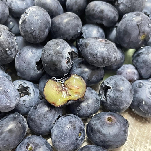 花香蓝莓15+（篮装1.5kg） 商品图1
