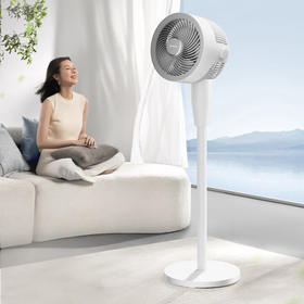 艾美特（AIRMATE）电风扇FA23-X203