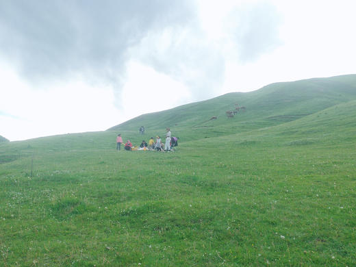 【康乐1日】白桦林+竹子沟1日游 商品图1