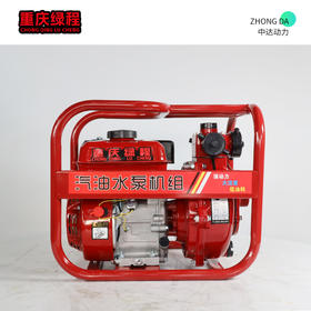 重庆绿程 ZX20CX-双