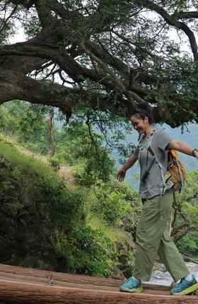 【走马岗】闯入千年香榧林 | 绿野仙踪处，山水密林间