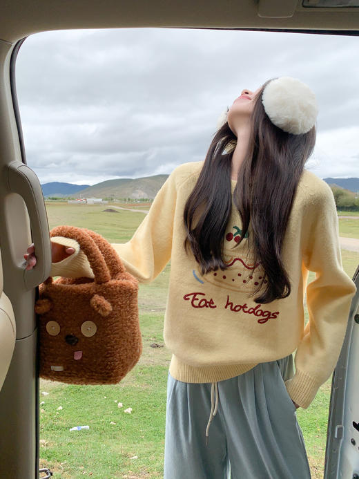 <曾小咸推荐>彩绘绣花毛衣 商品图6