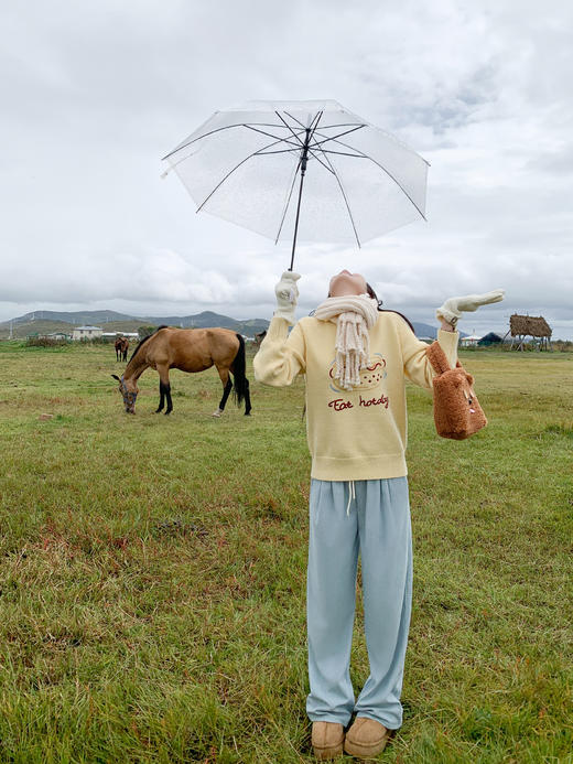 <曾小咸推荐>彩绘绣花毛衣 商品图5