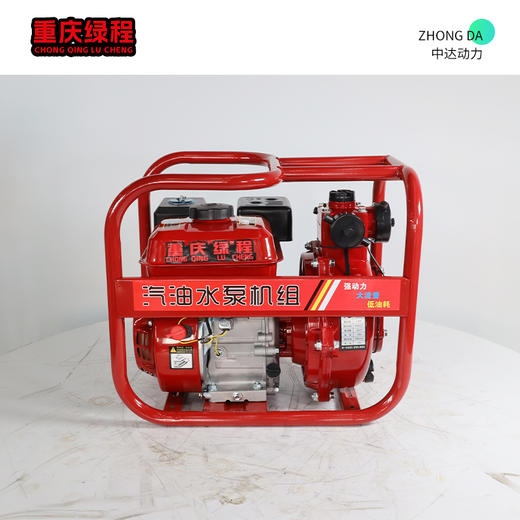 重庆绿程 ZX20CX-双 商品图8