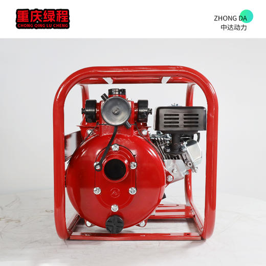 重庆绿程 ZX20CX-双 商品图3