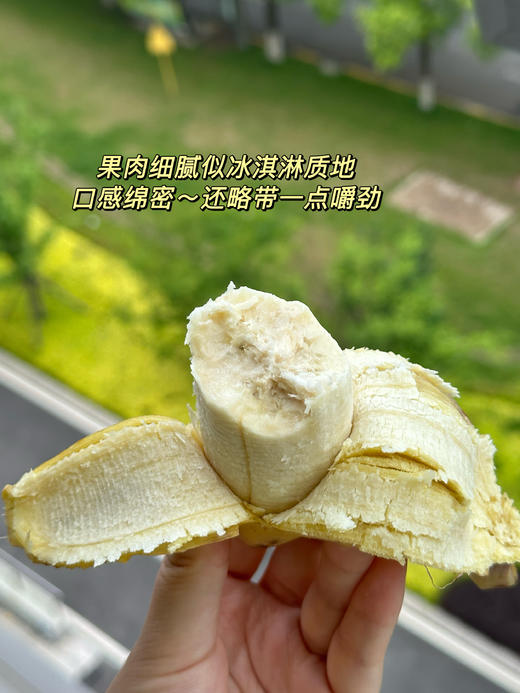 福建漳州苹果蕉～口感软糯细腻，甜中带有微酸，类似苹果的果香、原生态、自然成熟不打药、安全可口营养丰富、减脂期必备、品味舌尖与紧致果肉的交融，像糯米般有嚼劲，丝滑奇妙，比普通香蕉口感更丰富～ 商品图2