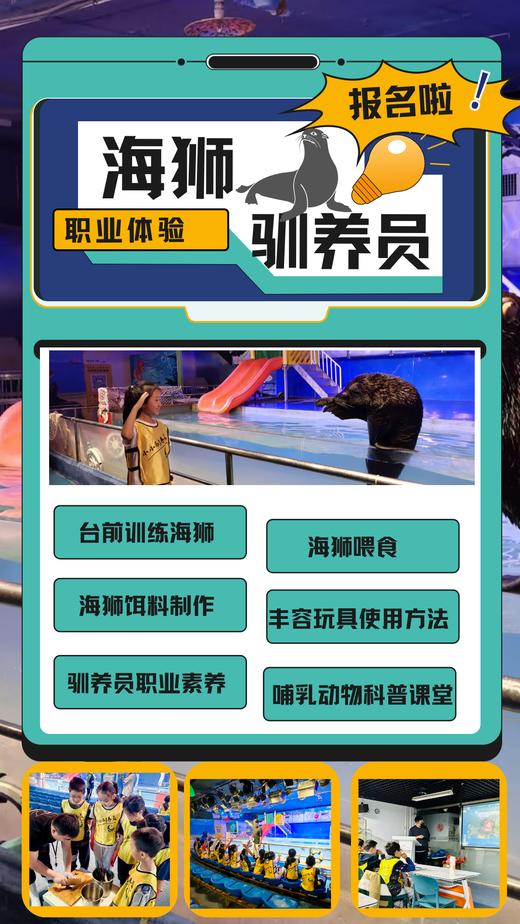11.2/8/16/22【朝阳·单飞·半日·自驾】【海狮驯养员】海底世界训练海狮·哺乳动物课堂·饵料制作·海狮沟通秘籍 商品图1