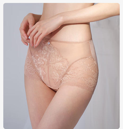 【3F】安莉芳蕾丝通透性感高腰平角裤舒适透气女士内裤E300977 商品图1