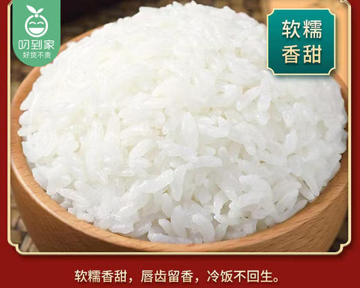 绿泊五常大米原粮稻花香2号（5kg/袋 真空包装）生产日期: 2月 商品图1