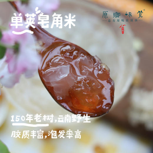 单荚皂角米（成都仓库-顺丰快递）| 75g，来自云南德宏，生产者：蔡颜吉【合作生产，公平贸易】 商品图0