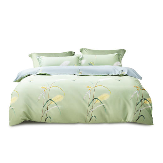 水星家纺 DH倩影摇曳-S04（抗菌）四件套 商品图0