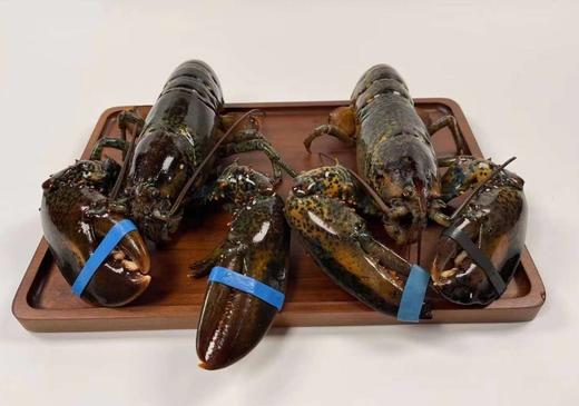 节日特价！2只装加拿大野生大龙虾 商品图1