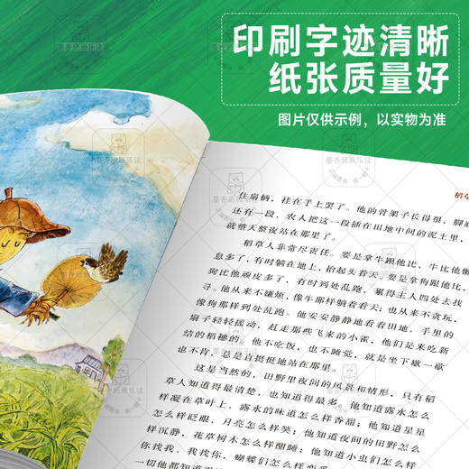 班班25暑期二升三《稻草人》+导读单 商品图2