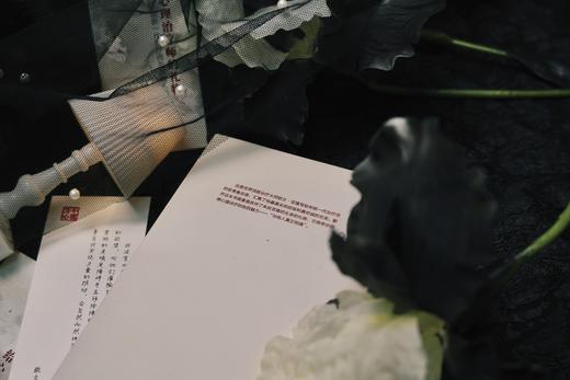 万千心理·给心理治疗师的礼物——给新一代治疗师及其病人的公开信 商品图6