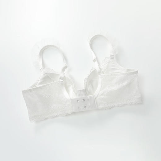 【3F】安莉芳刺绣花卉蕾丝文胸女大胸显小薄款夹碗内衣EB00977 商品图5