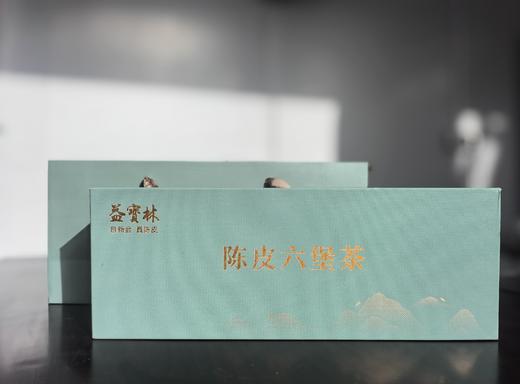 益宝林新会陈皮六堡茶170g 商品图0