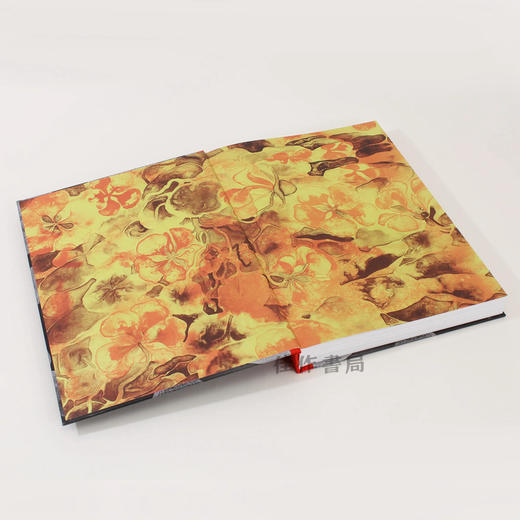 【全新现货】Ruth Asawa: Retrospective / 鲁思·阿萨瓦回顾展 商品图2