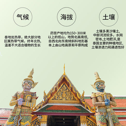 【户外旅游居家可用】泰国老虎膏清凉舒爽温和舒缓止痒四季可用老虎膏按摩膏 商品图3