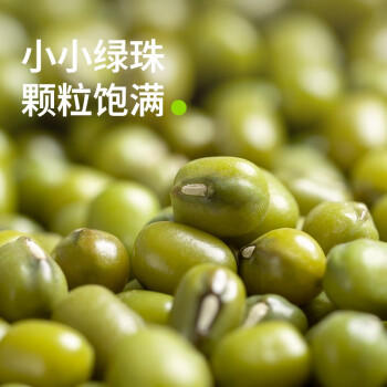 田喜粮鲜有机绿豆 高蛋白低脂肪高叶酸钾镁 绿豆粥绿豆汤东北绿豆杂粮450g /粮油调味 /杂粮 /杂豆类 商品图2