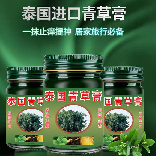 【四季户外家居常备泰国青草膏】清凉薄荷清凉紫草膏儿童成人通用 商品图0