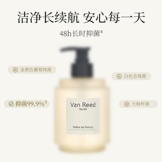 Van Reed内衣洗衣液，48h长时yi菌~洗除常见3种hpv病毒。弱酸性成份，呵护私密健康，植物淡香，持久香韵！ 商品图3