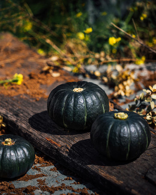 秭归 劲逮逮 贝贝南瓜  商品图1