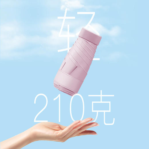 红叶五折美美超扁伞D2787 商品图6