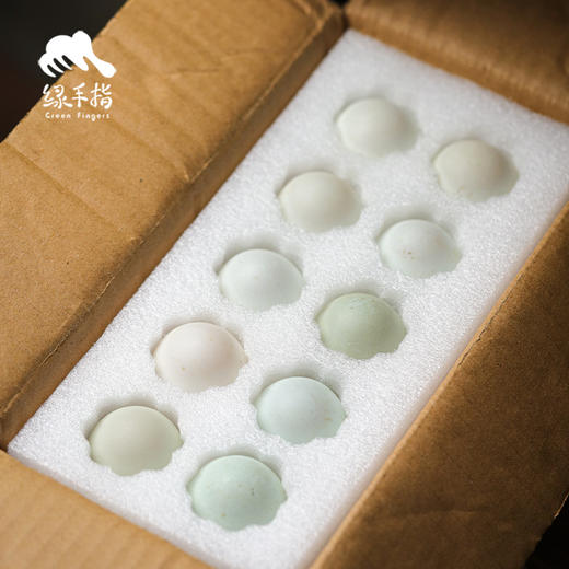 生态鸭蛋（从化） | 合作生产 * Eco-duck egg | Partner Production 商品图3