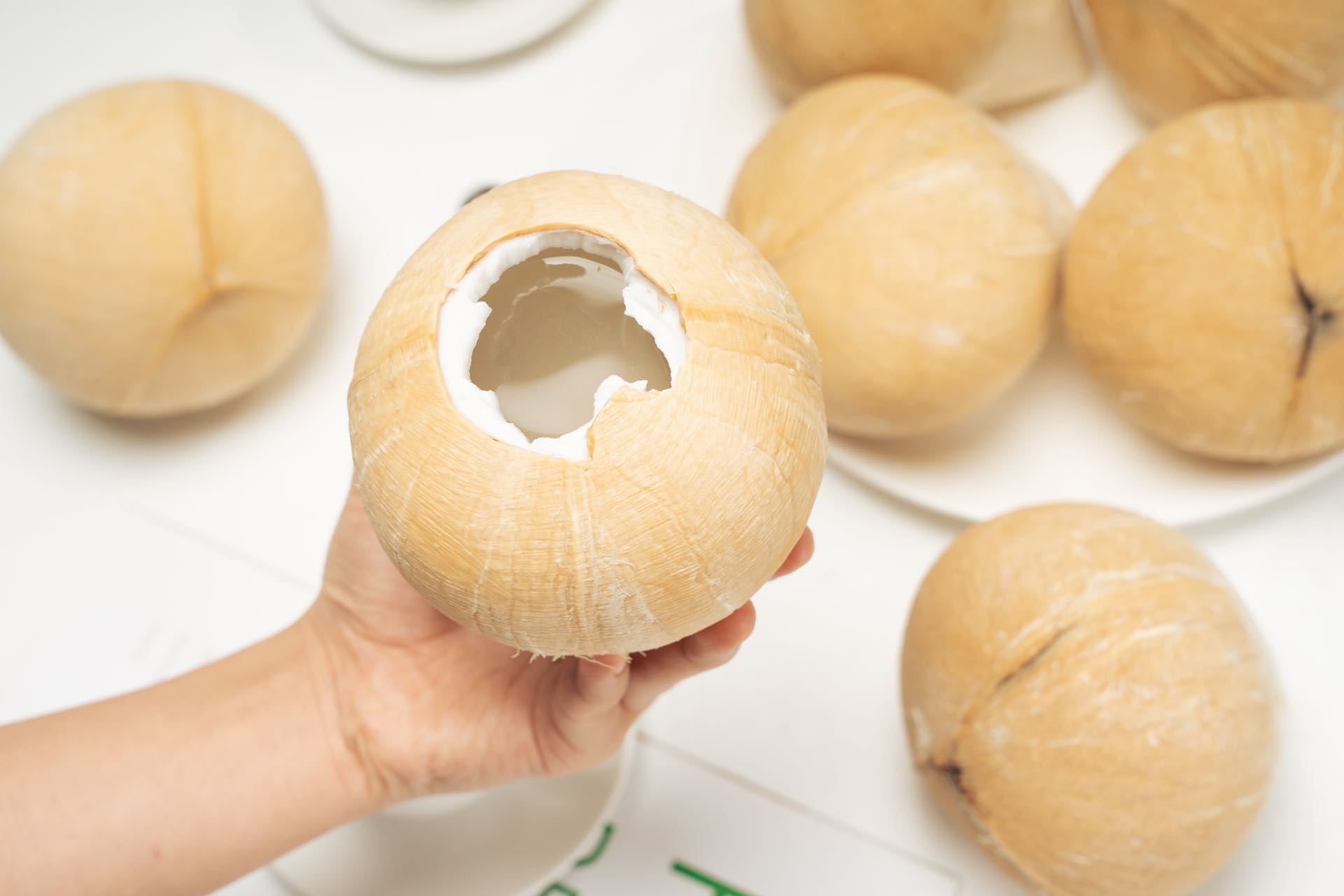 【泰国奶香椰皇】