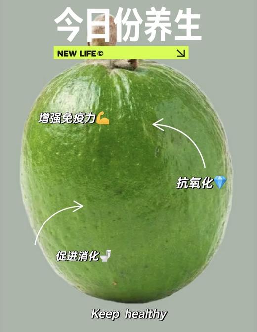 团购菲油果盆栽绿植香甜可口棒棒糖 商品图4