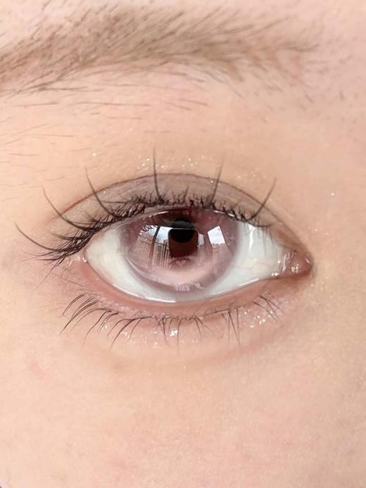 Healercon 半年抛 心动狙击 直径14.5mm着色14.0mm 商品图4