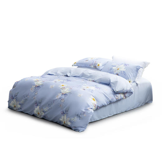 水星家纺 DH花语风吟-S04(抗菌)四件套 商品图1
