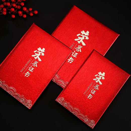 泓阳文化-名点系列6502-01荣誉证书/12K 商品图0