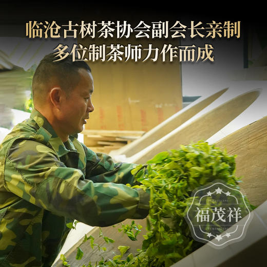 【2025年春茶】【冰岛母树】冰岛老寨的始祖鼎级古树单株茶 全球仅13棵 2025年春茶临沧茶区冰岛老寨母树普洱茶古树单株纯料生茶饼357g 商品图2