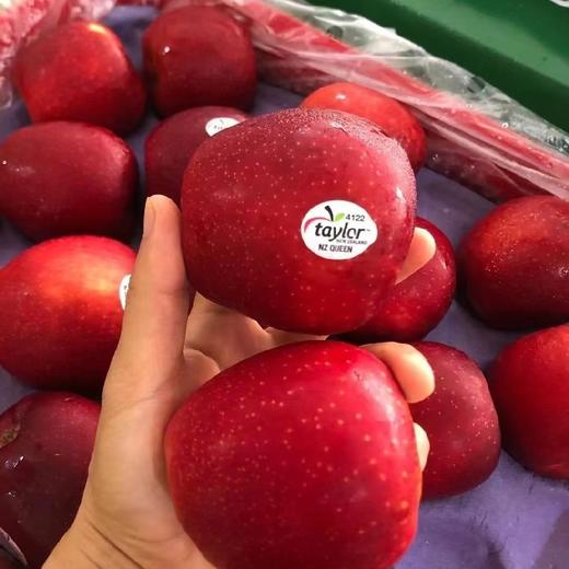 【中秋好礼】石家庄优选仓库速达，新西兰|红玫瑰苹果，清脆爽口，口感脆甜多汁，每一口都透出淡淡玫瑰香味，精品大果15枚装，净重约6.5斤礼盒装 商品图3