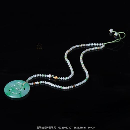 【龙行天下】翡翠螭龙牌翡翠尾GZ2505230 商品图0