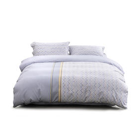 水星家纺 DH奕然-S04(抗菌)四件套