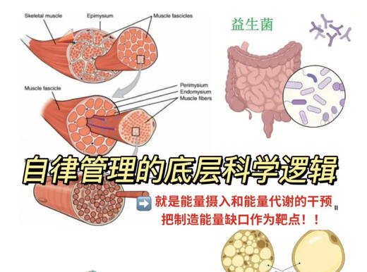 新品白加黑组团 商品图13