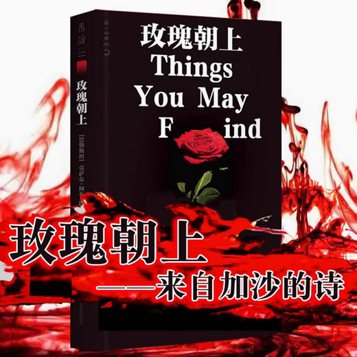 【赠透卡】玫瑰朝上：来自加沙的诗（2025普利策奖得主作品） 【单书透卡】 商品图2