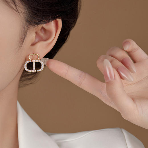 雀说网红小众设计感微镶锆石CD耳环女轻奢气质时尚洋气耳饰AL0645 商品图2