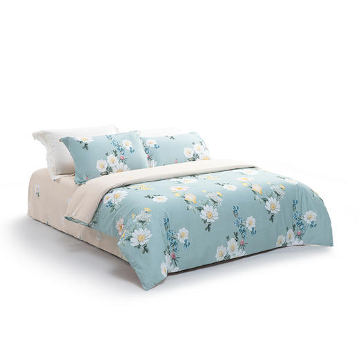 水星家纺 DH春野花漫-S04(抗菌)四件套 商品图1