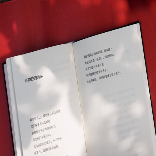 【赠透卡】玫瑰朝上：来自加沙的诗（2025普利策奖得主作品） 【单书透卡】 商品图9