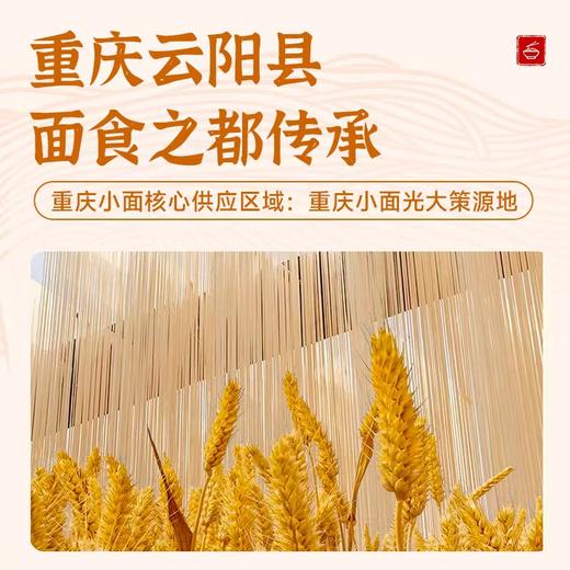 中国面都云旸面 无添加零盐零脂零纳 健康又美味（赠重庆非遗杂酱 商品图2